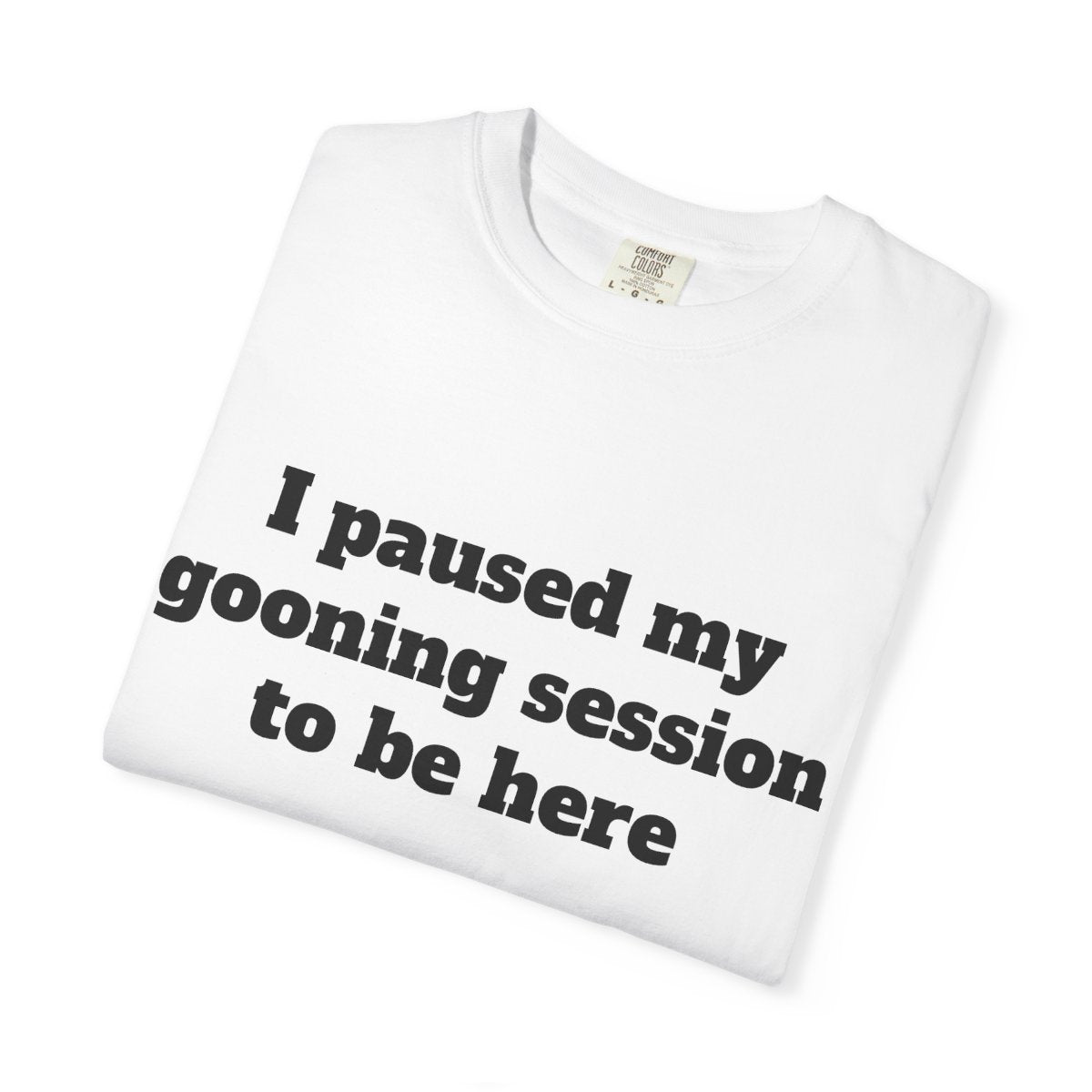 I Paused My Gooning Session.