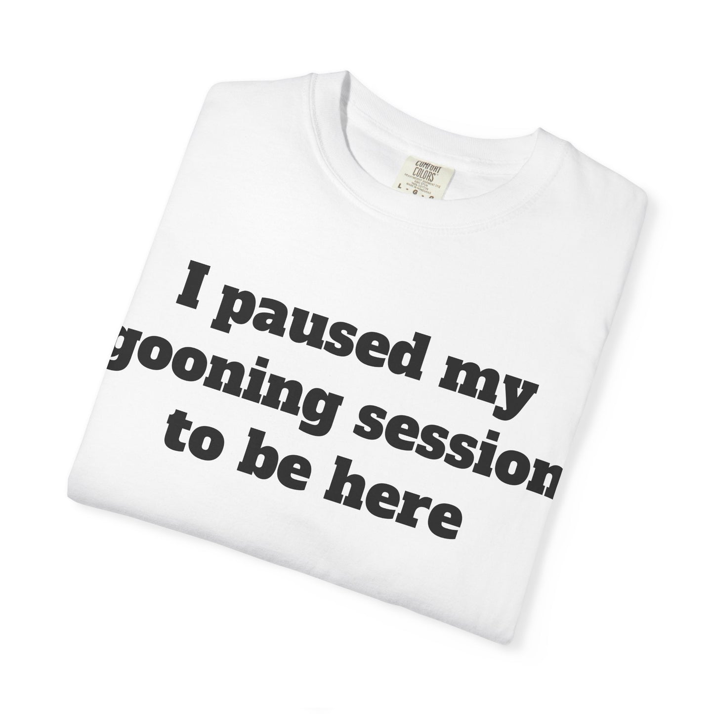 I Paused my Gooning Session.